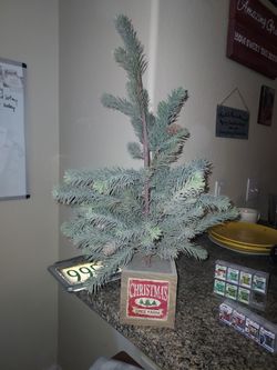 Little Christmas Tree