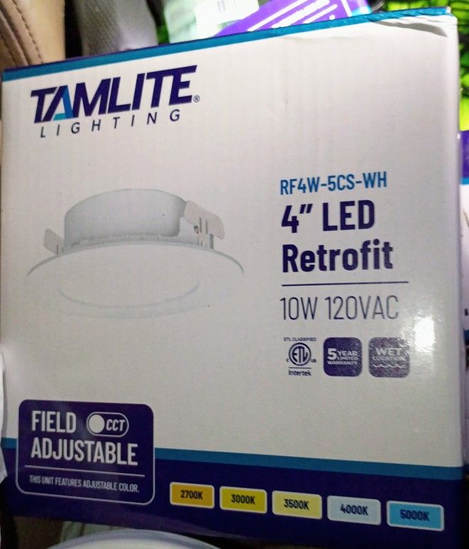 Lighting 4" Indoor Recessed LED 