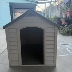 Dog House