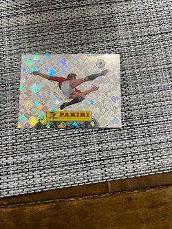 Panini sticker