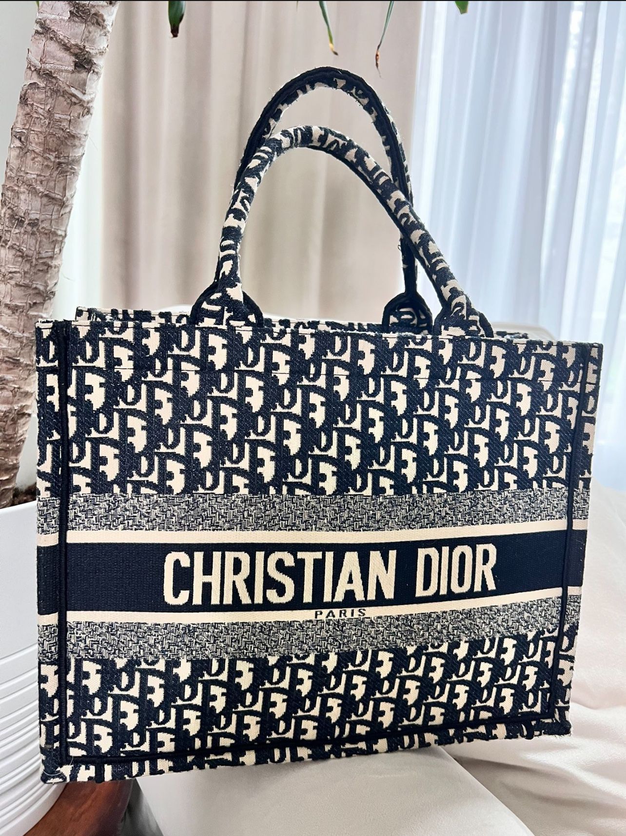 Dior Tote Bag 
