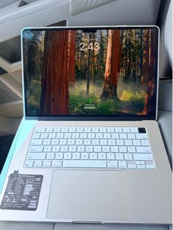 Apple pro “15