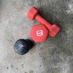 Two 8 Pounds And One 5 Pound Dumbbell All For 13$