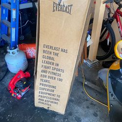 Ever last kicking bag