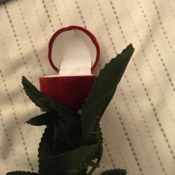 Red Rose 🌹 Ring Case $12