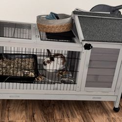 Bunny Hutch