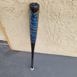 Baseball Bat "34"