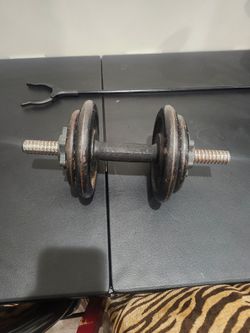 20 pound dumbell
