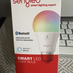 Smart Light Bulb