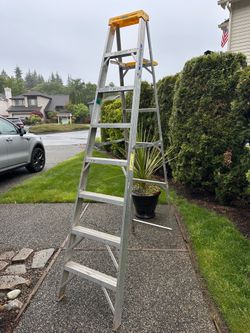 Werner 8' Ladder