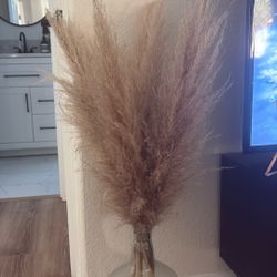 Dried Pampas Grass
