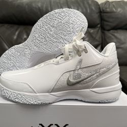 Nike LeBron NXXT GEN White Silver Mens Sizes 10.10.5,11,11.5,13