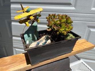 Patio Succulent Display ( Father’s Day Gift )