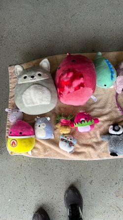 Squishmellows And Stuffies Including Vermont teddy bear