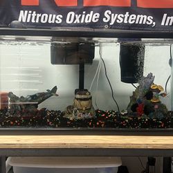 40 gallon fish tank