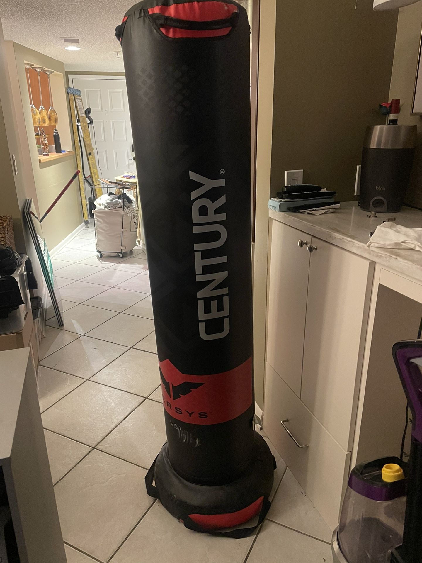 Punching/kick Boxing Bag