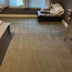 Carpet shampoo 