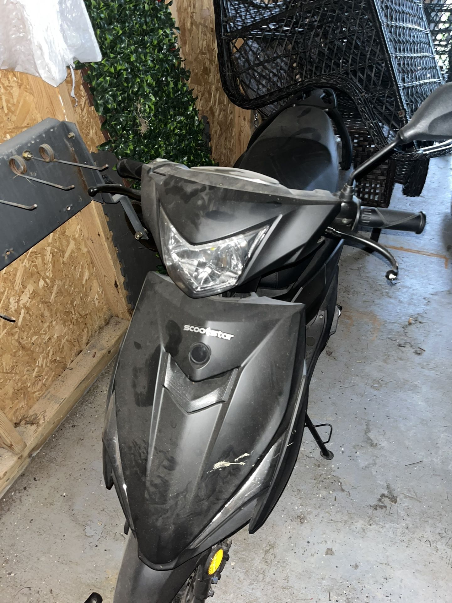 moped 50cc scootstar