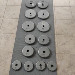 120 Ibs Weight Plate With Curl Bar 