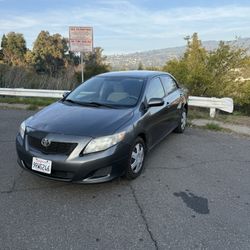 2009 Corolla Le 