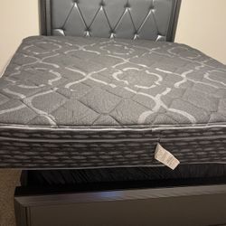 King Mattress And Box Mattress 