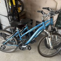 Two Schwinn Ranger Bikes