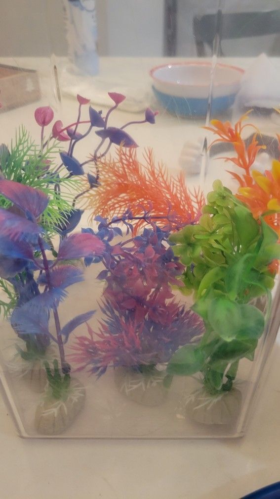 Aquarium Tank And Accessories Rocks