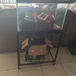 20 Gallon Fish Tank with Stand