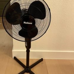 HOLMES 16 inch OSCILLATING FAN H M L FIRM PRICE.  IN EAGLE ROCK  