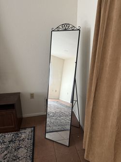 body mirror