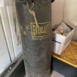 Punching Bag
