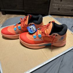 Snoop Dogg Basketball Shoes Size 13