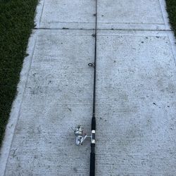 Fishing Rod With Fishing Reel