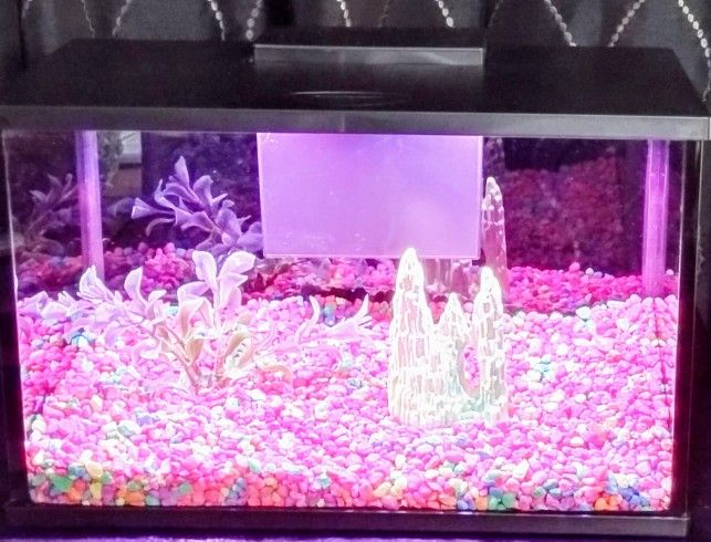 3.5 Gallon Tank