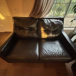 Love seat and couch genuine leather