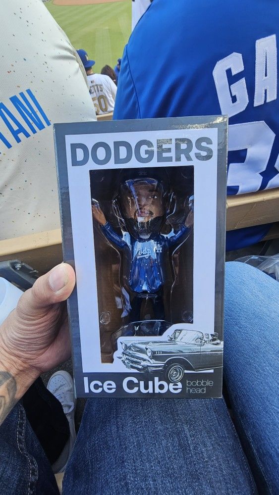 Ice Cube Bobble Head