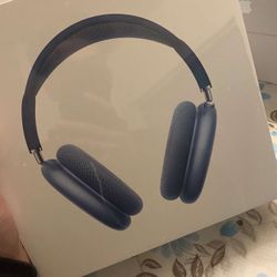 AirPod Max Headphones 