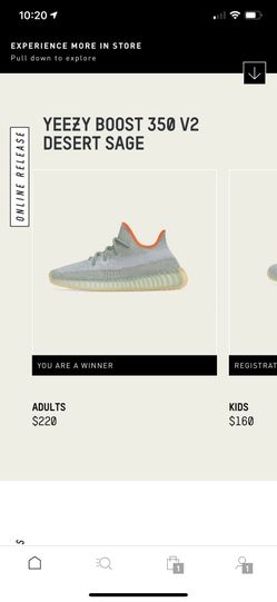 Yeezy desert sage - US 9 DS