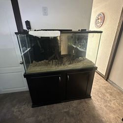80 gallon fish tank and fx6