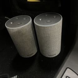 2 X Alexa (No Power Cable)