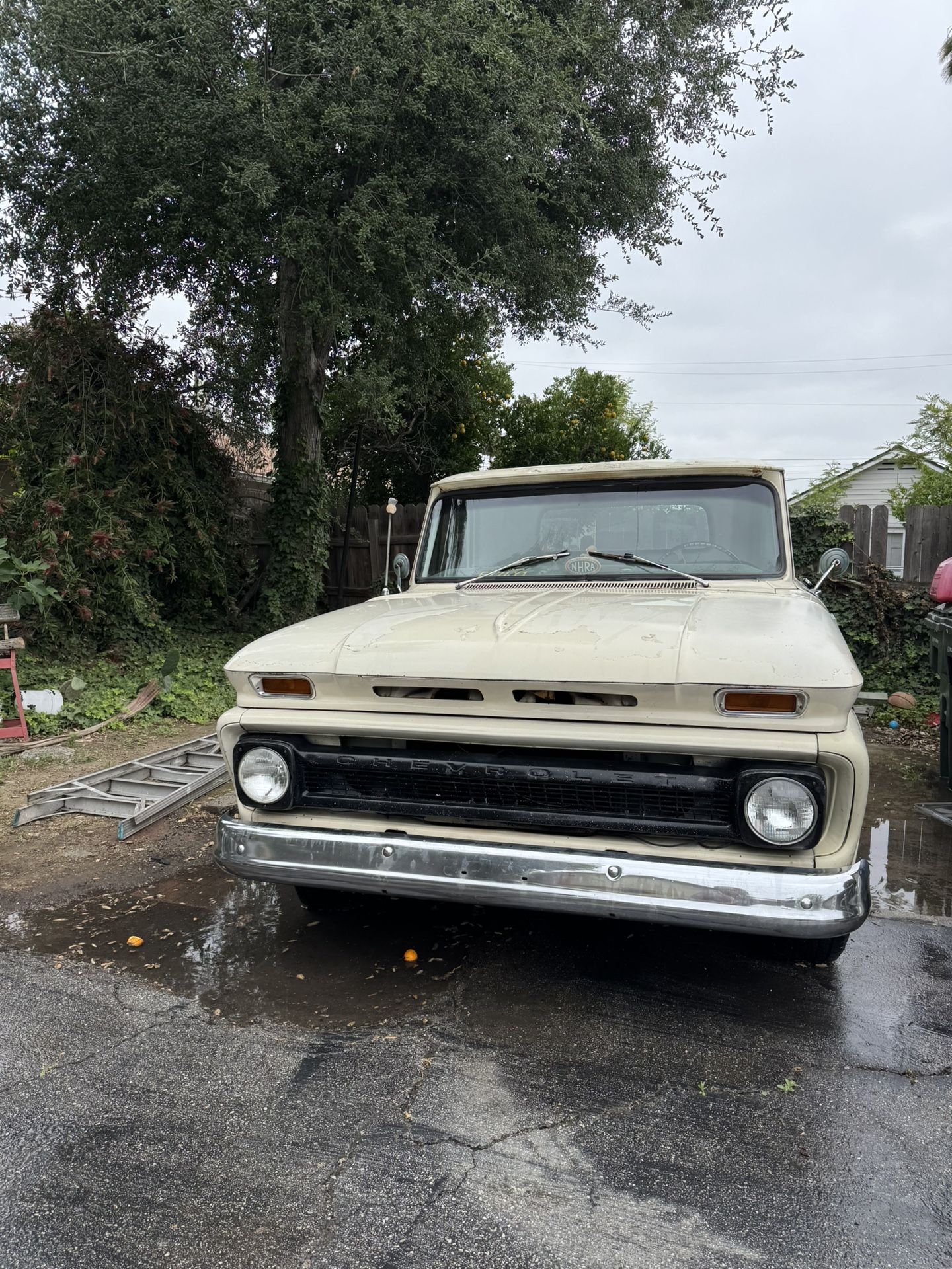 1965 Chevy C10