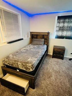 Boy twin size bed set with nightstand, also living room couch with loveseat