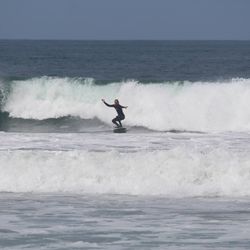 Surfboard Longboard Sale Longboards Surfboards 