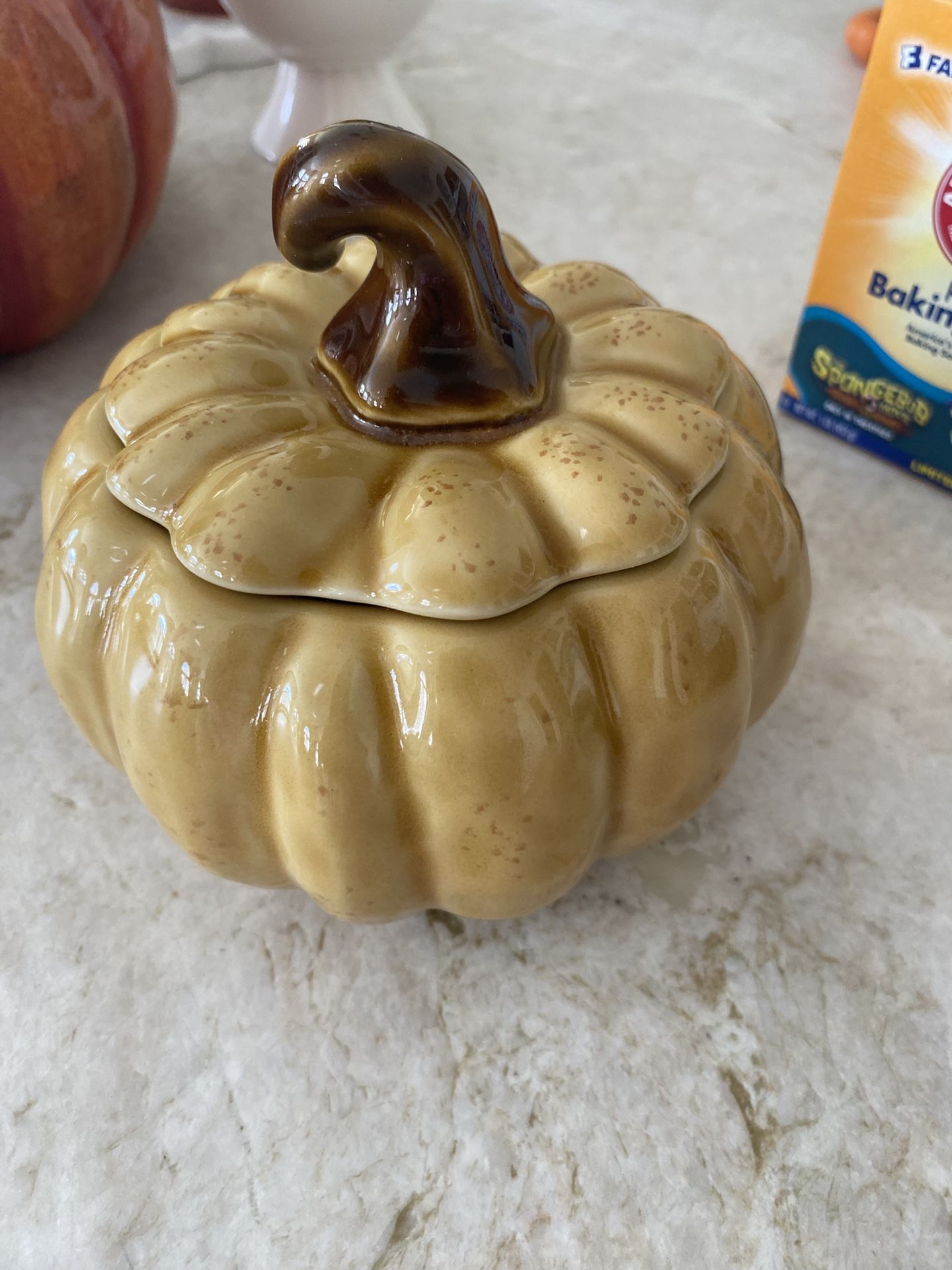 Pumpkin Ceramic Pot