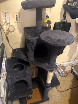 Multi-level black cat tree with platforms, cubbies
