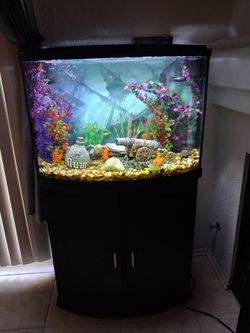 Aquarium - 36 gal plus accessories
