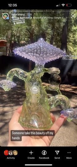 Beautiful Bonsai Tree