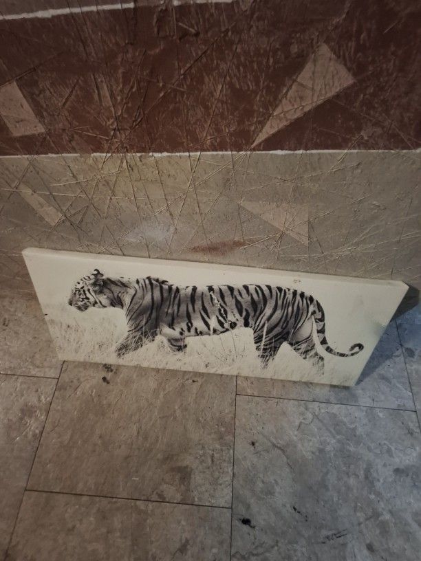 Tiger Wall Art