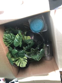 Chameleon set up