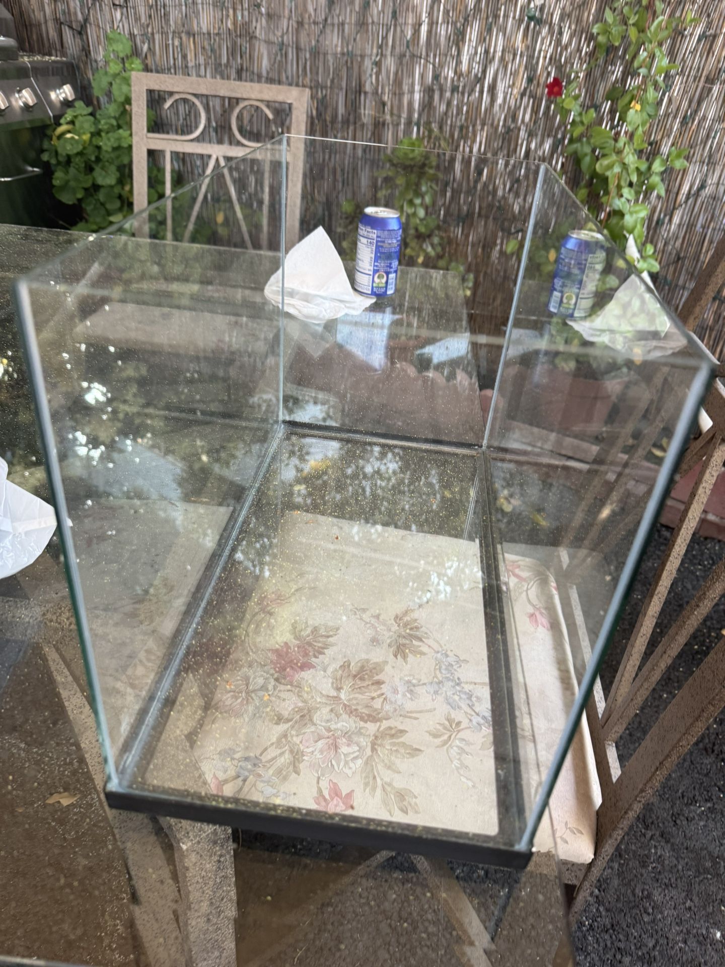 Fish Tank